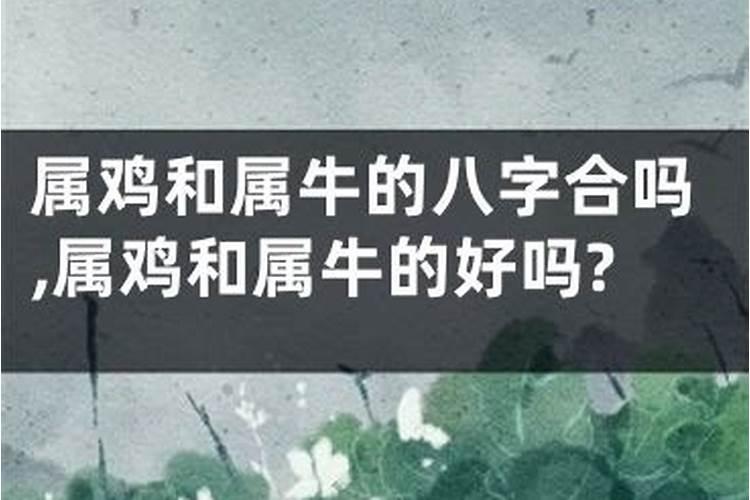 为什么有的人要做法事呢