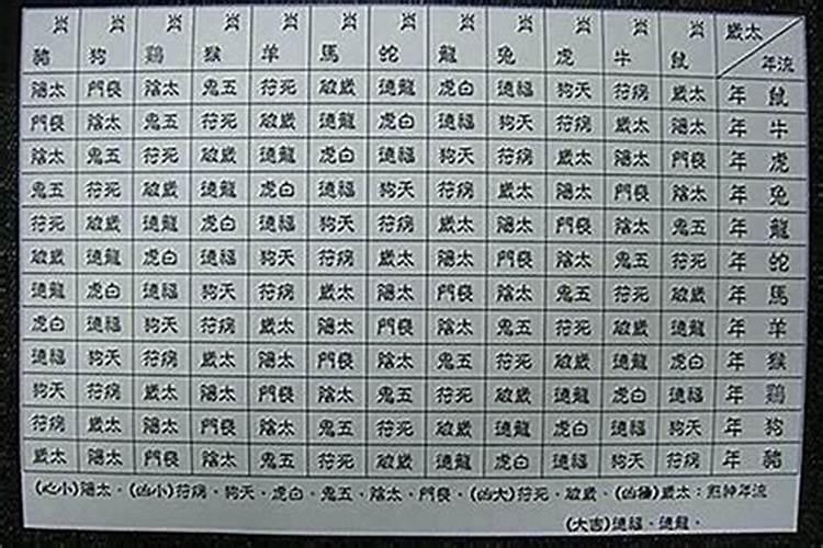 属鼠的兔年犯太岁如何破解