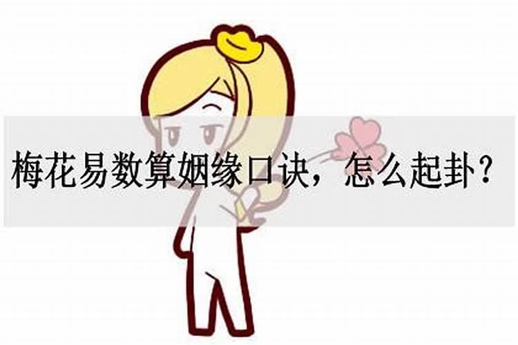 梅花易数算姻缘怎么算