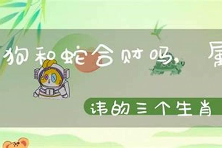 属狗和属蛇的八字合吗