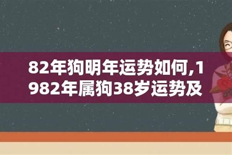 1982年出生的一生命运