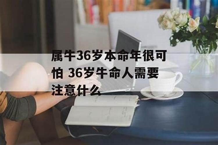 36岁牛年本命年运气