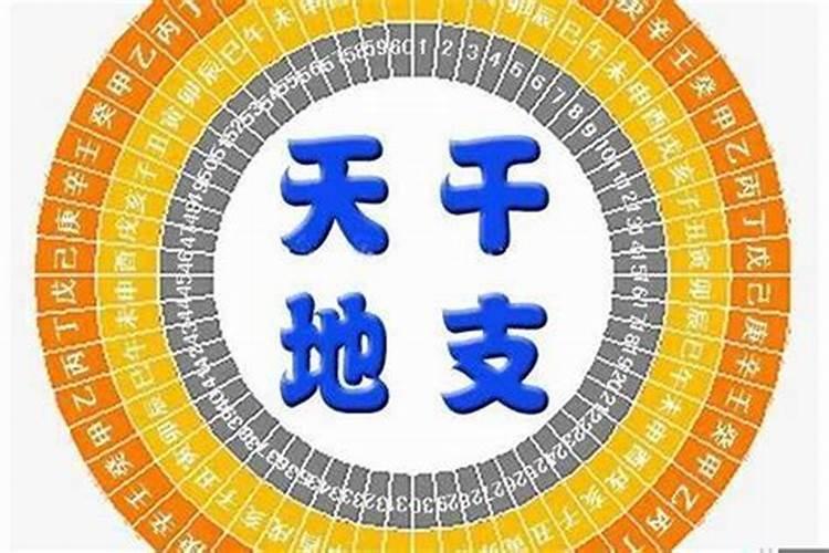 八字中甲已合代表什么意思