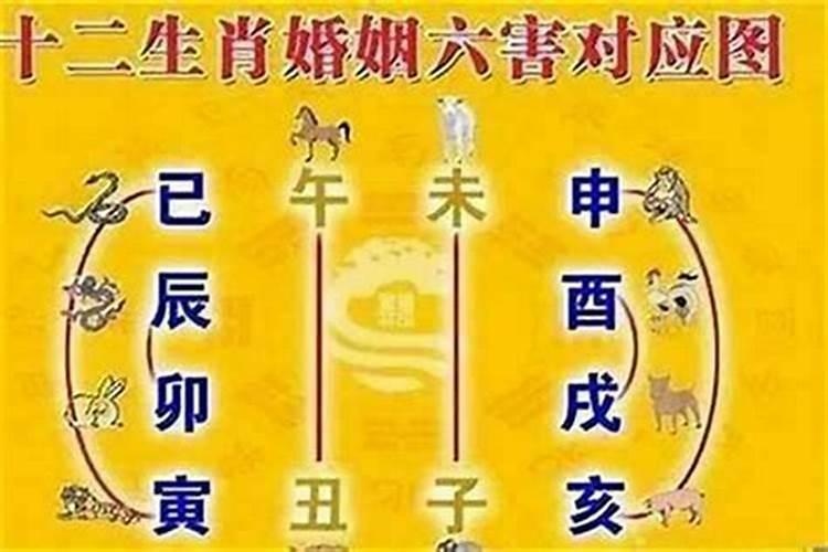 桃花运最旺的女人八字