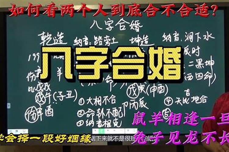 合八字需要什么资料