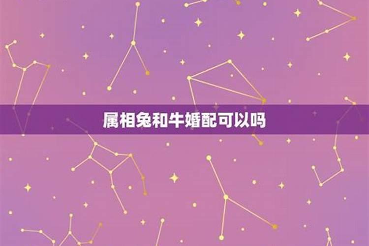 鸡和狗的属相合不合有人结婚么