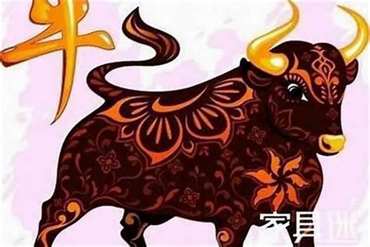 属猪什么年份运气最好