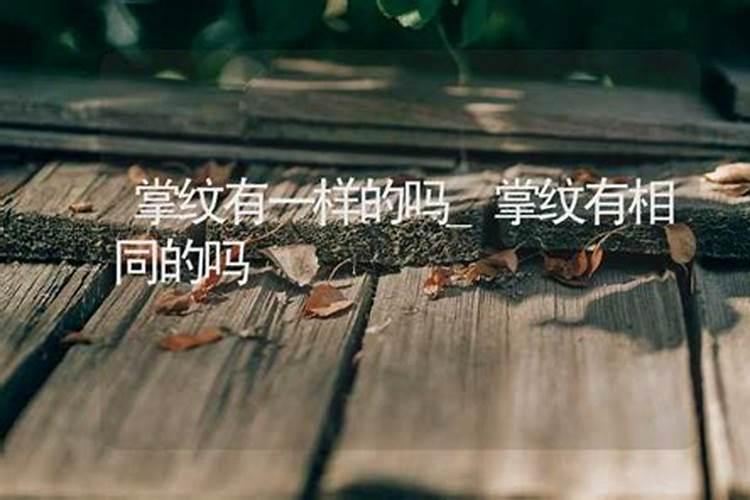 测名字与八字是否相合