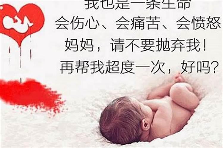 属兔的和属兔能结婚吗