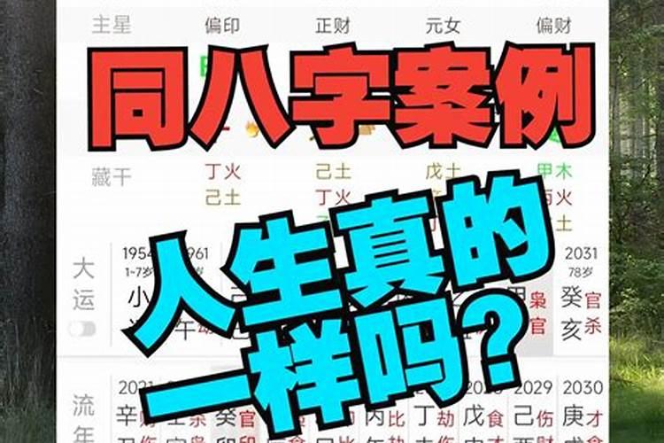 胡歌面相婚姻不顺