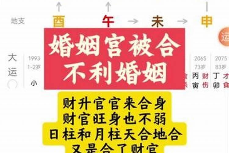 属鸡的婚配禁忌属相