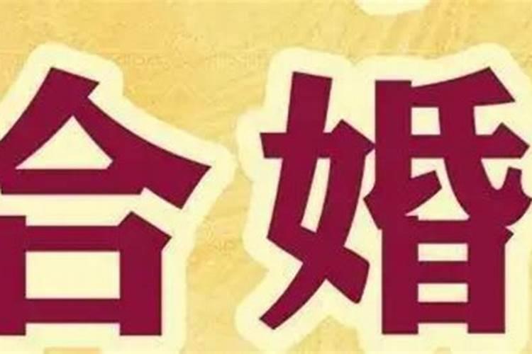 八字合婚怎样才算合