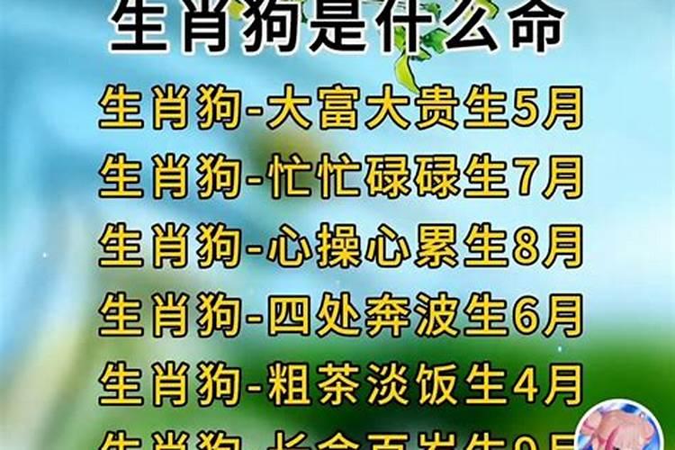 属猴今年犯太岁吗