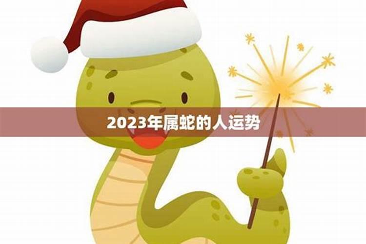 属蛇的2023年