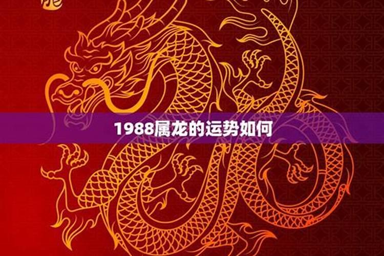 1988年龙2023年运势完整版