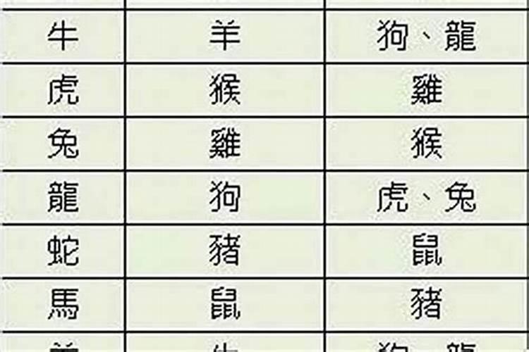 看生辰八字测婚配准不准呀