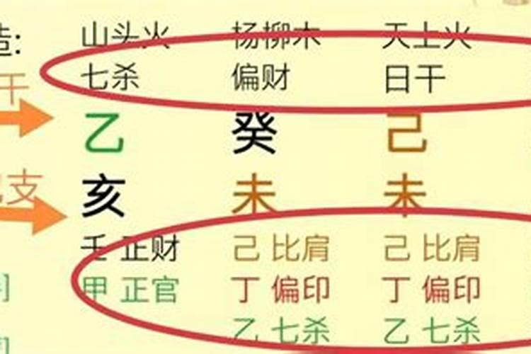 属马的人2023年运程