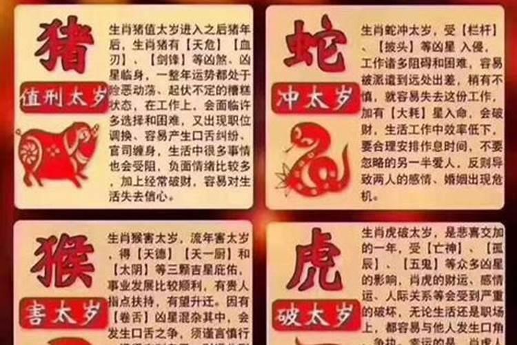 本命年宜什么不宜什么