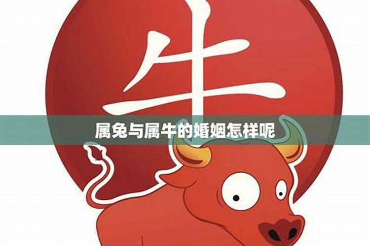 童子命的孩子学业怎么样