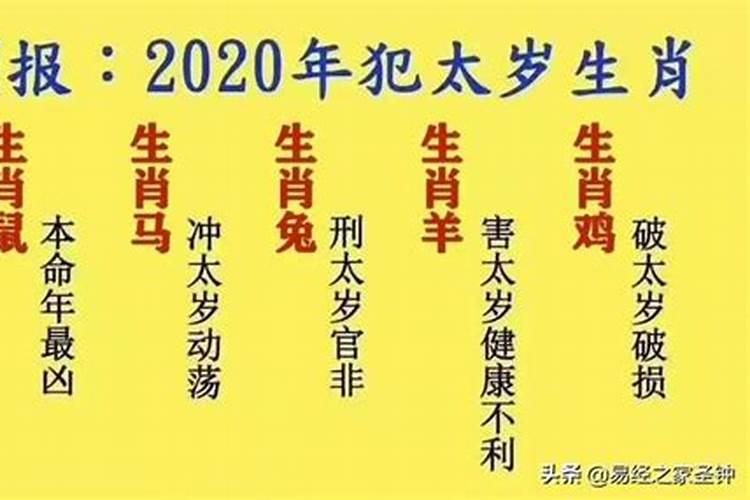 鼠年犯太岁的属相男