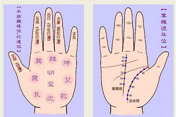 属狗的几日出生有福气