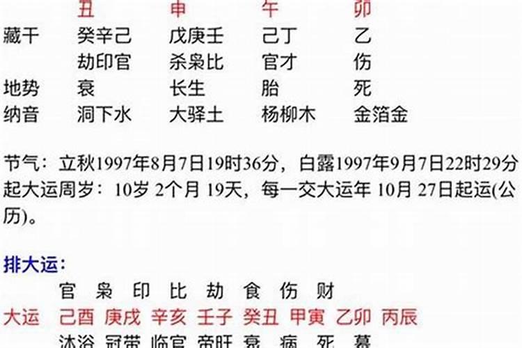 什么是专旺格的八字