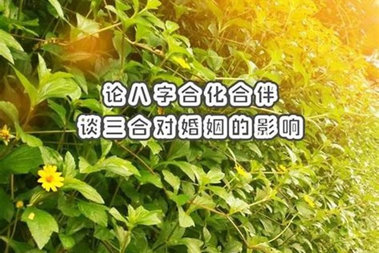 八字怎么看出来一个人懒不懒