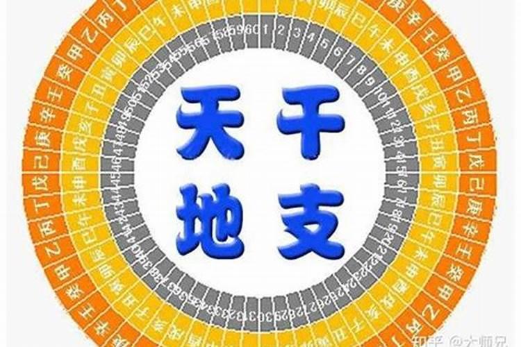 八字天干合如何论命