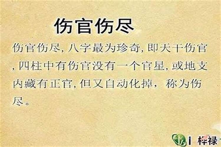 八字算命中的伤官是什么意思？伤官运是什么运