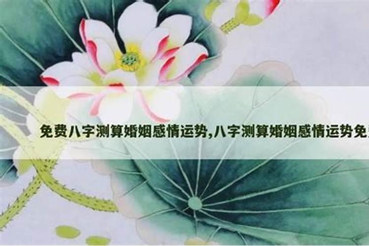 免费八字测算婚姻感情运势(免费八字测个人婚姻)