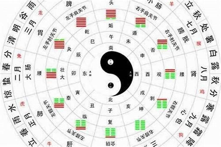 日主天干是什么就是什么命吗？日主天干就是什么命吗