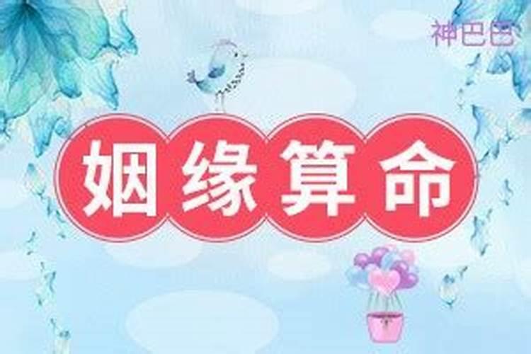 免费算姻缘八字算命运，姻缘算命测试