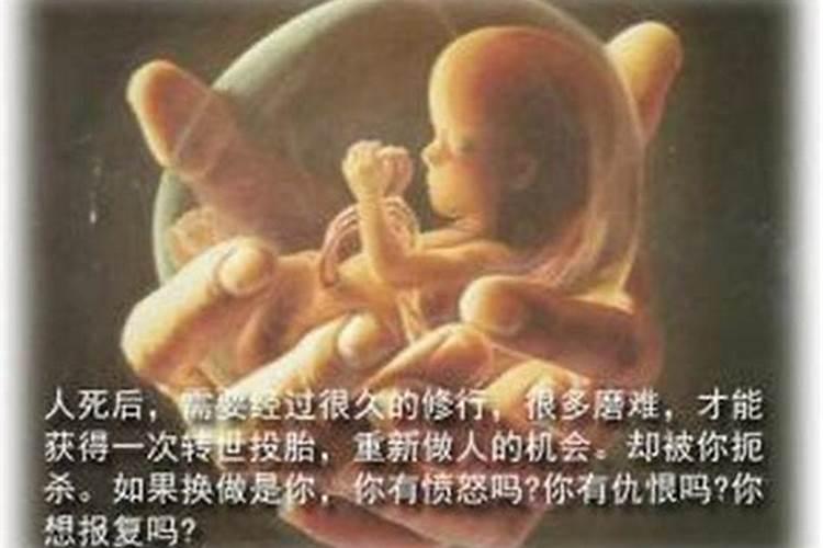 本命年可以结婚生孩子吗属虎男