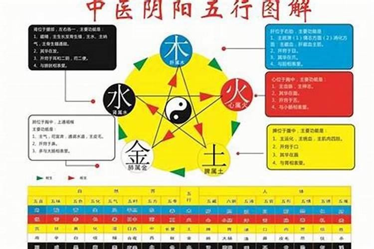 怎么判断生肖五行属性