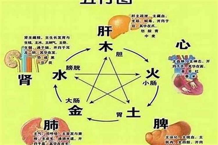 真童子和假童子八字上的区别