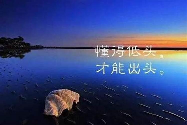 人能不能改变命运，还是命中注定