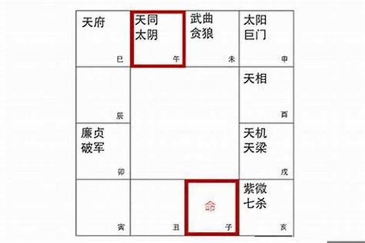 将星在四柱中哪柱最好