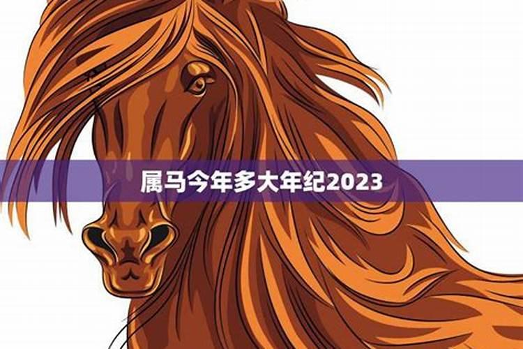 属马的人2023年的幸运数字