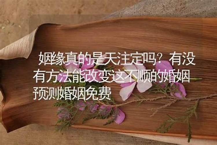 婚姻是靠缘分还是天注定的