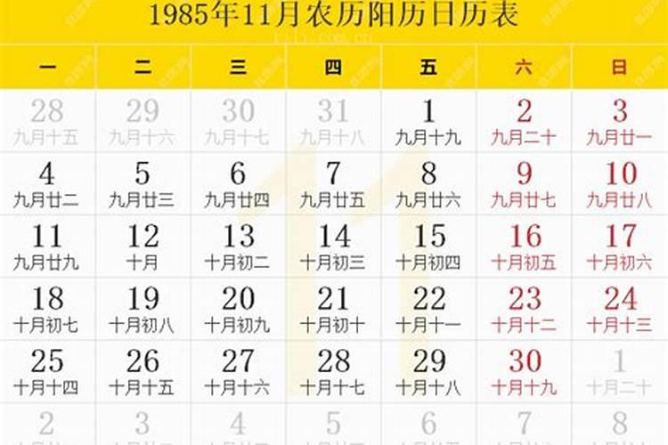 1985年农历十一月十六日出生的人