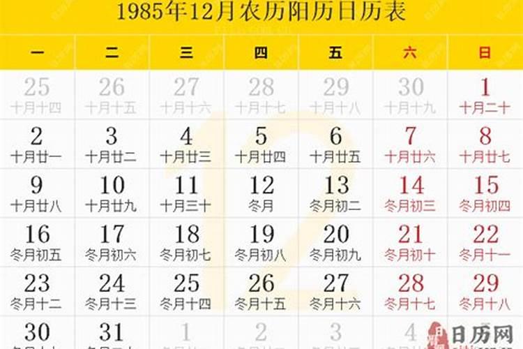 1985年农历十一月十六日出生的人