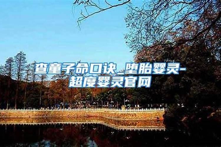 什么八字财运旺盛呢