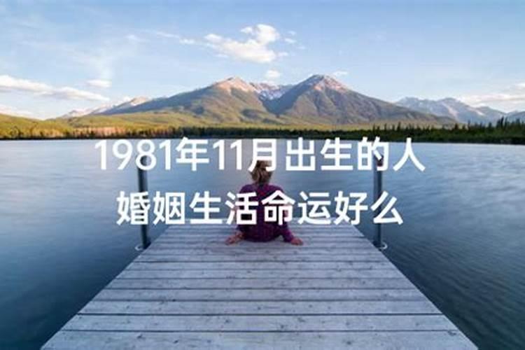 1981年农历七月十九子时八字