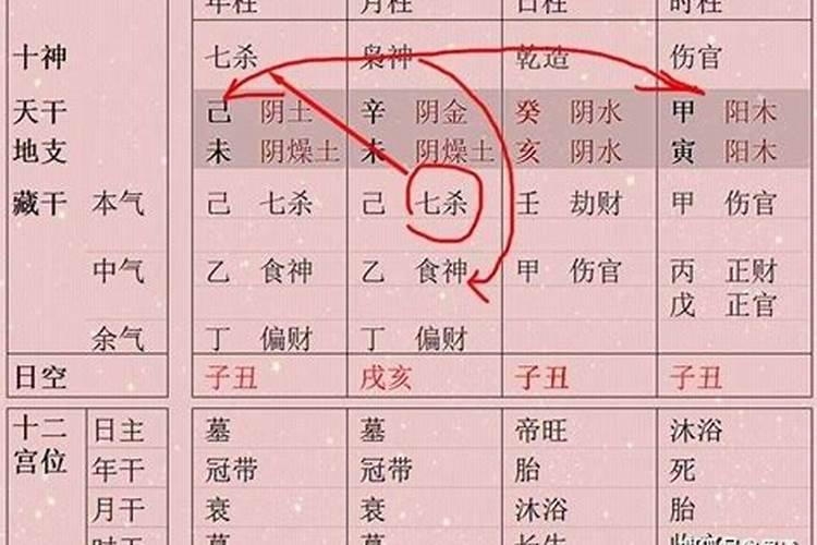 八字月令是天干还是地支