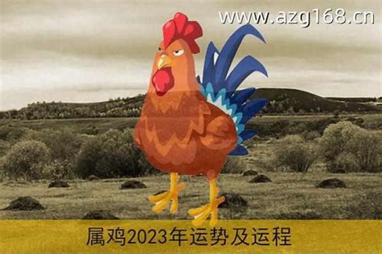 属鸡人2023年运势卜易居