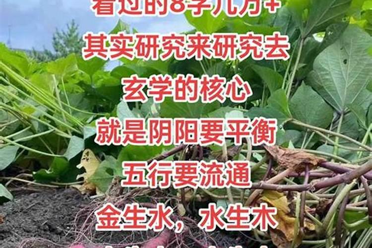 本命年能不能带孝