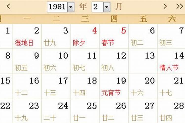 1981年农历九月初七是什么命格