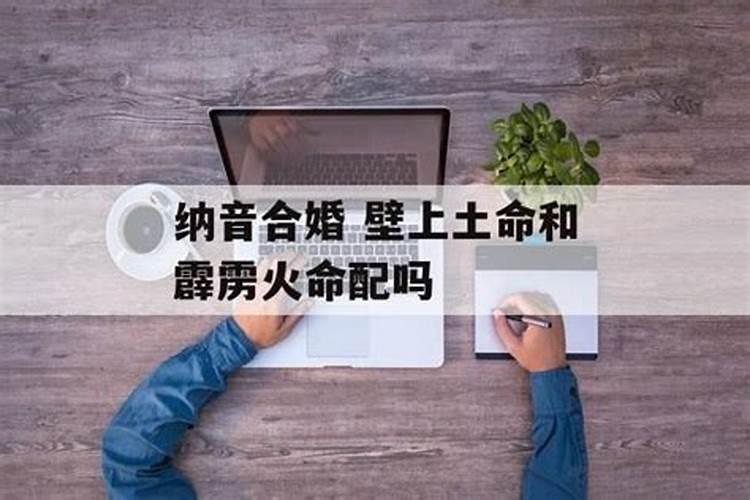 属蛇的和属马的生个属什么的宝宝好