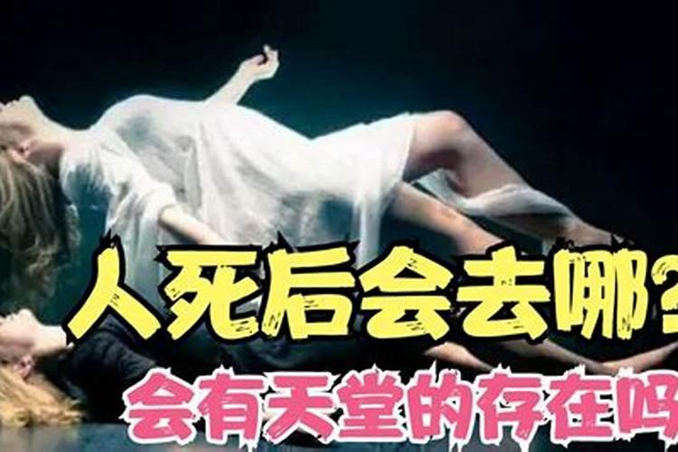 人死后会去哪里作文