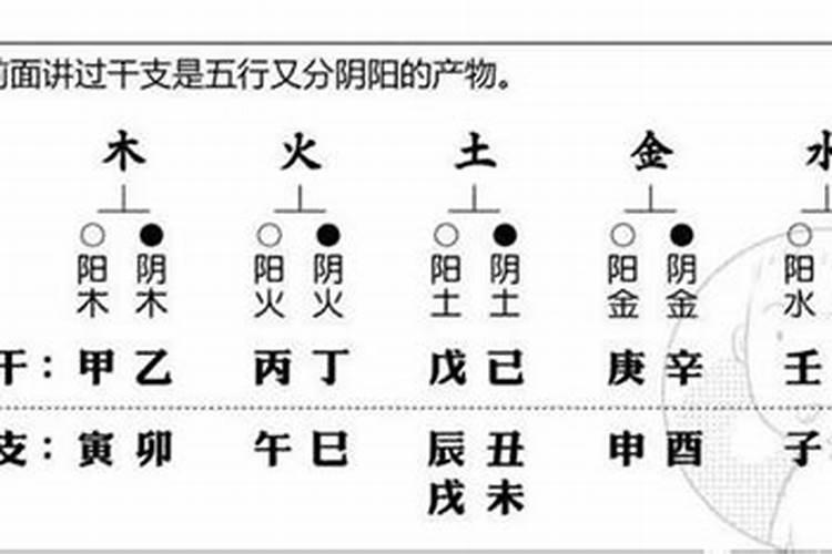 八字将星在哪柱好